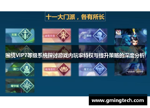 围绕VIP7等级系统探讨游戏内玩家特权与提升策略的深度分析