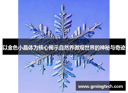 以金色小晶体为核心揭示自然界微观世界的神秘与奇迹
